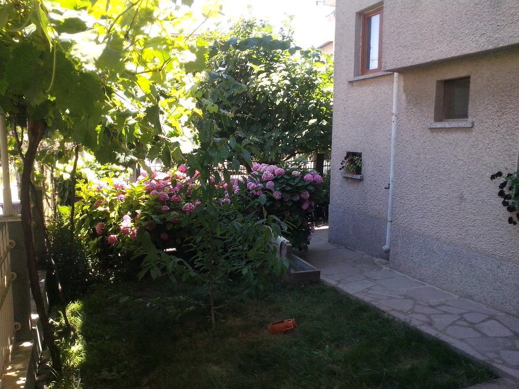 Guest House Krasi Tschernomorez Exterior foto
